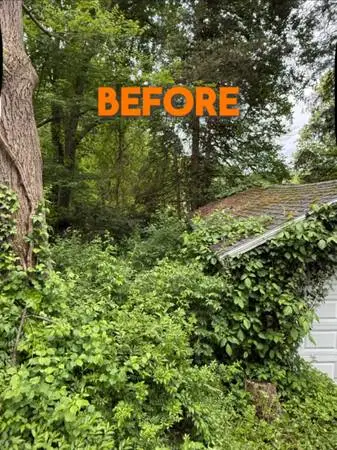 Professional Landscaping Services