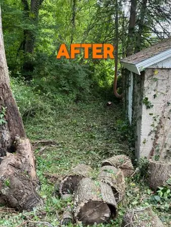 Reliable Landscaping Services